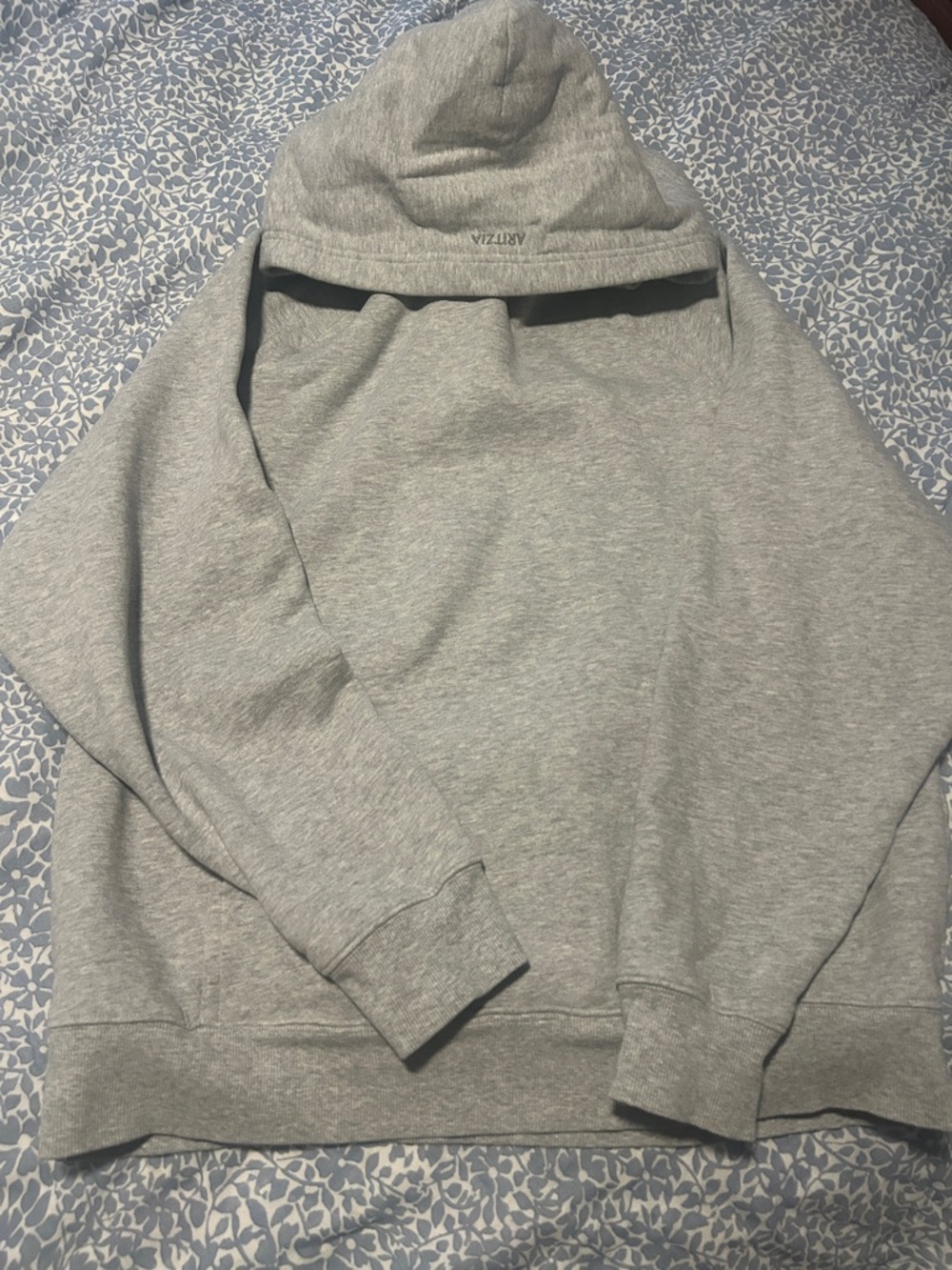 Aritzia Hoodie